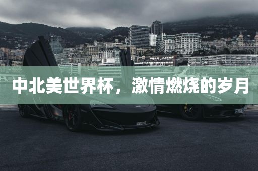 中北美世界杯，激情燃烧的岁月金炬实业股份有限公司