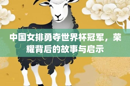 中国女排勇夺世界杯冠军，荣耀背后的故事与启示