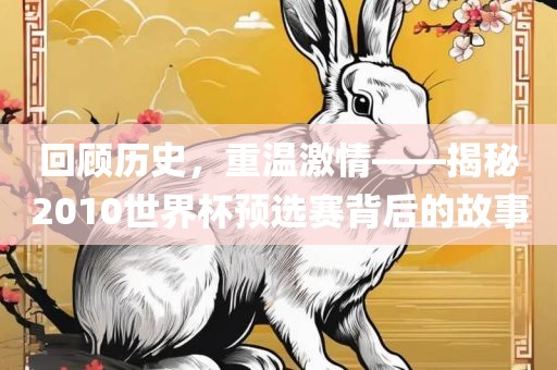 回顾历史金炬实业股份有限公司，重温激情——揭秘2010世界杯预选赛背后的故事