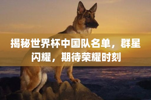 揭秘世界杯中国队名单，群星闪耀，期待荣耀时刻