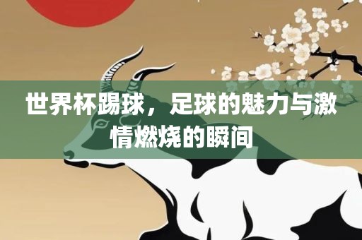 世界杯踢球，足球的魅力与激情燃烧的瞬间