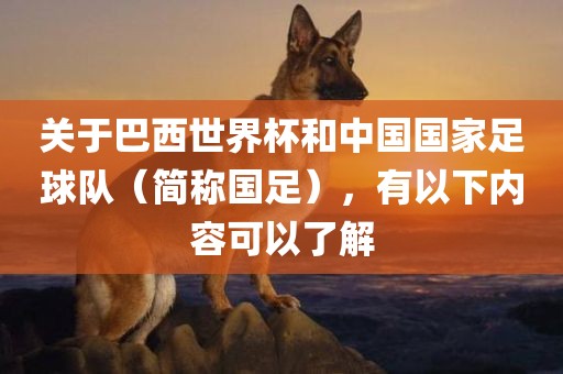 关于巴西世界杯和中国国家足球队（简称国足），有以下内容可以了解金炬实业股份有限公司