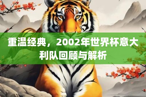 重温经典，2002年世界杯意大利队回顾与解析金炬实业股份有限公司