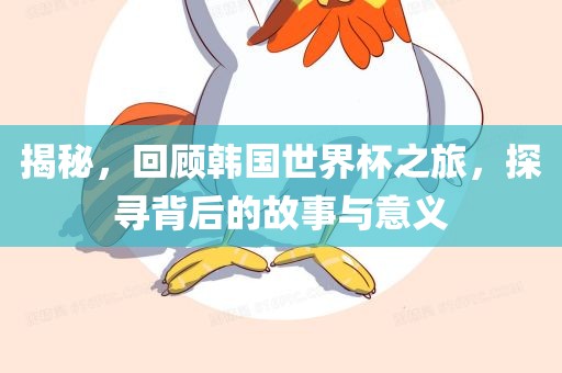 揭秘，回顾韩国世界杯之旅，探寻背后的故事与意义