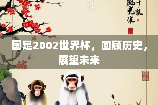 国足2002世界杯，回顾历史，展望未来金炬实业股份有限公司