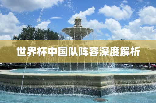 世界杯中国队阵容深度解析