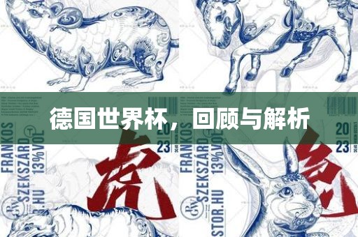 德国世界杯，回顾与解析