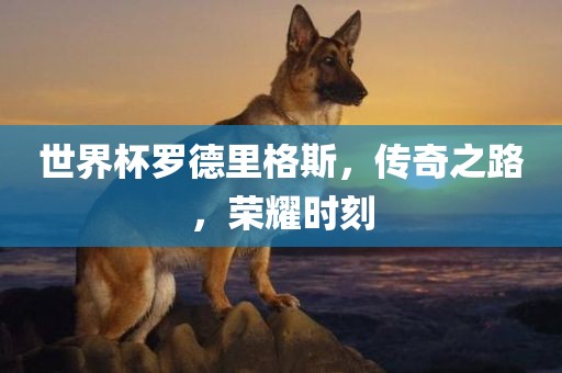 世界杯罗德里格斯，传奇之路，荣耀时刻金炬实业股份有限公司