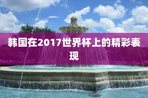 韩国在2017世界杯上的精彩表现