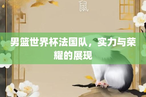 男篮世界杯法国队，实力与荣耀的展现