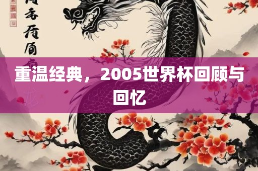 重温经典，2005世界杯回顾与回忆