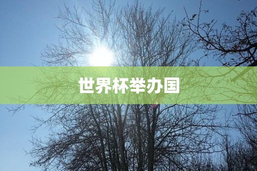 金炬实业股份有限公司世界杯举办国