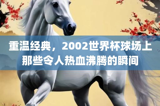 重温经典，2002世界杯球场上那些令人热血沸腾的瞬间