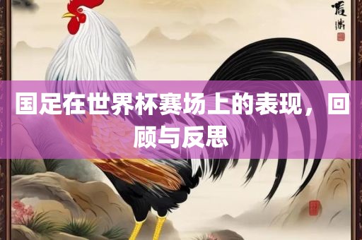 国足在世界杯赛场上的表现，回顾与反思