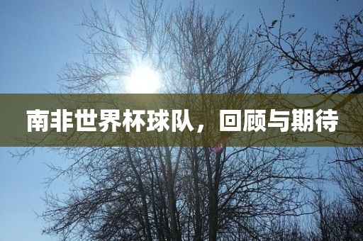 南非世界杯球队，回顾与期待金炬实业股份有限公司