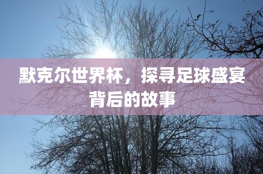 默克尔世界杯，探寻足球盛宴背后的故事