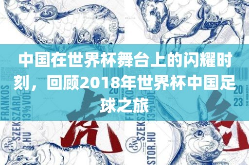 中国在世界杯舞台上的闪耀时刻，回顾2018年世界杯中国足球之旅