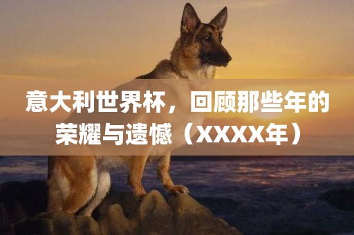 意大利世界杯，回顾那些年的荣耀与遗憾（XXXX年）