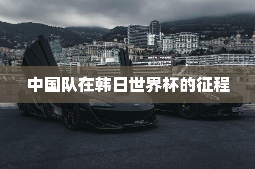中国队在韩日世界杯的征程金炬实业股份有限公司