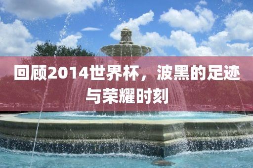 回顾2014世界杯，波黑的足迹与荣耀时刻