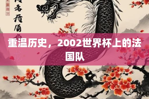重温历史，2002世界杯上的法金炬实业股份有限公司国队