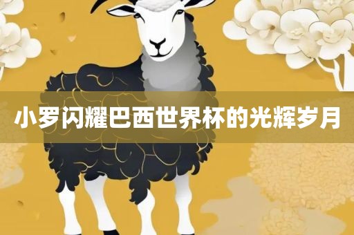 小罗闪耀巴西世界杯的光辉岁月金炬实业股份有限公司