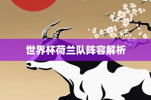 世界杯荷兰队阵容解析