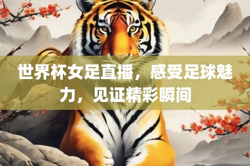 世界杯女足直播，感受足球魅力，见证精彩瞬间