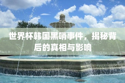 世界杯韩国黑哨事件，揭秘背后的真相与影响