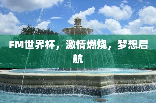 FM世界杯，激情燃烧，梦想启航