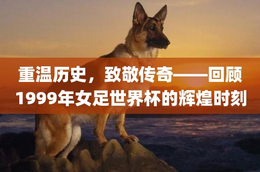 重温历史，致敬传奇——回顾1999年女足世界杯的辉煌时刻