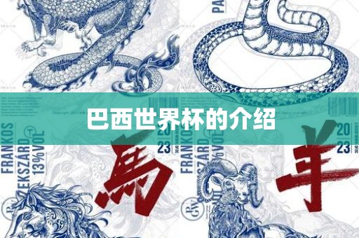 巴西世界金炬实业股份有限公司杯的介绍