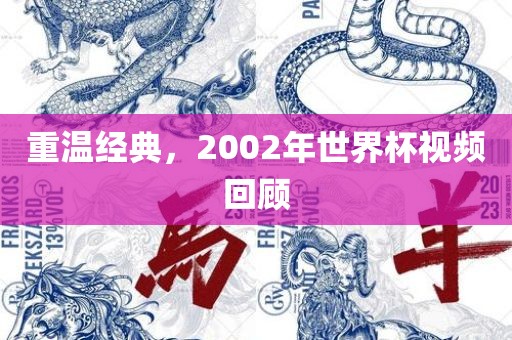重温经典，2002年世金炬实业股份有限公司界杯视频回顾