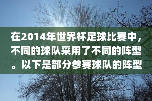 在2014年世界杯足球比赛中，不同的球队采用了不同的阵型。以下是部分参赛球队的阵型