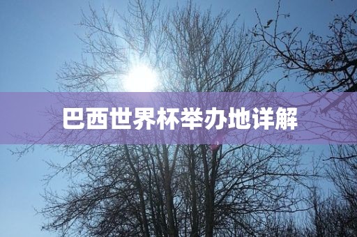 巴西世界杯举办地详解