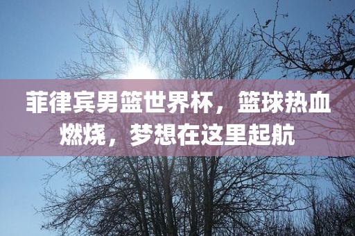 菲律宾男篮世界杯，篮球热血燃烧，梦想在这里起航金炬实业股份有限公司