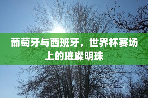 葡萄牙与西班牙，世界杯赛场上的璀璨明珠