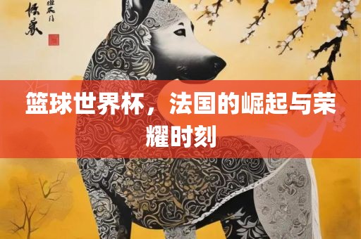 篮球世界杯，法国的崛起与荣耀时刻