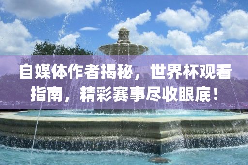 自媒体作者揭秘，世界杯观看指南，精彩赛事尽收眼底！