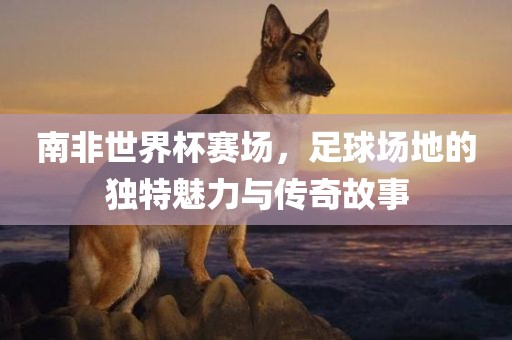 南非世界杯赛场，足球场地的独特魅力与传奇故事金炬实业股份有限公司