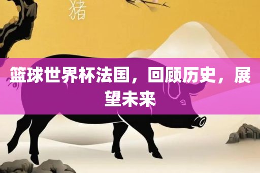 篮球世界杯法国，回顾历史，展望未来