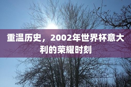 重温历史，2002年世界杯意大利金炬实业股份有限公司的荣耀时刻