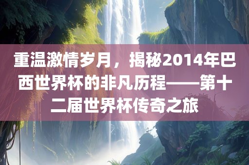 重温激情岁月，揭秘2014年巴西世界杯的非凡历程——第十二届世界杯传奇之旅金炬实业股份有限公司