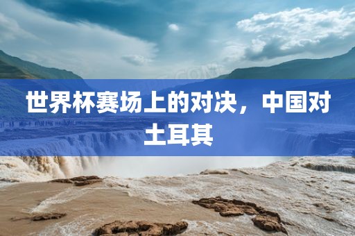 世界杯赛场上的对决，中国对土耳其