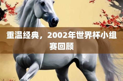 重温经典，2002年世界杯小组赛回顾