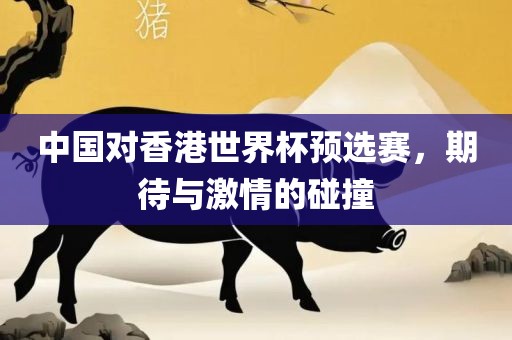 中国对香港世界杯预选赛，期待与激情的碰撞