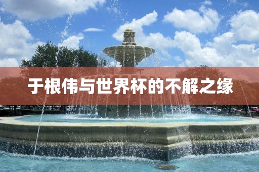 于根伟与世界杯的不解之缘