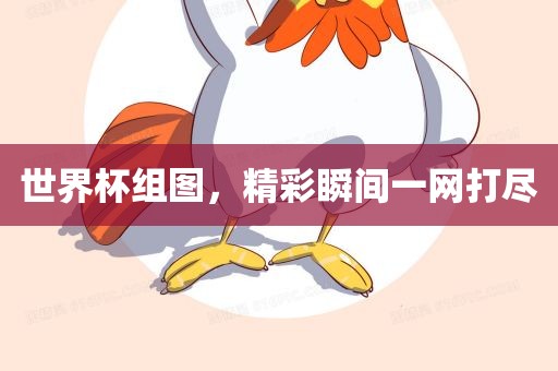 世界杯组图，精彩瞬间一网打尽