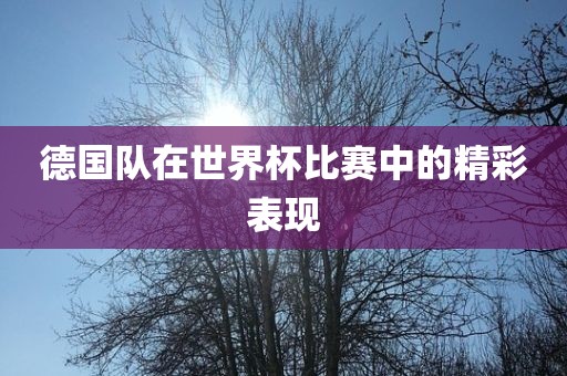 德国队在世界杯比赛中的精彩表现金炬实业股份有限公司