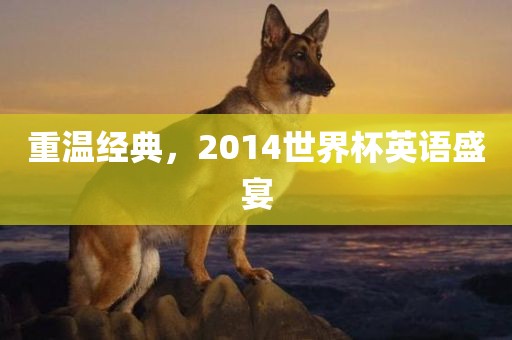 重温经典，2014世界杯英语盛宴金炬实业股份有限公司